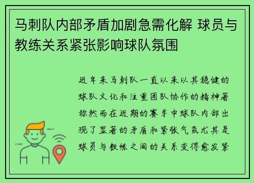 马刺队内部矛盾加剧急需化解 球员与教练关系紧张影响球队氛围