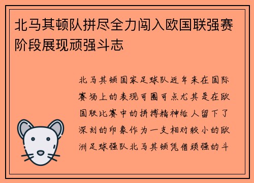 北马其顿队拼尽全力闯入欧国联强赛阶段展现顽强斗志