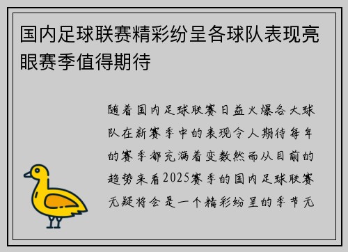 国内足球联赛精彩纷呈各球队表现亮眼赛季值得期待